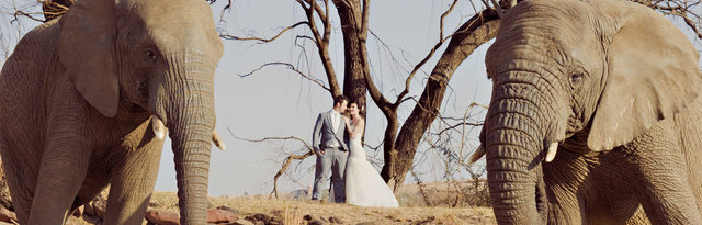 Askari Game Lodge & Spa winter wedding specials