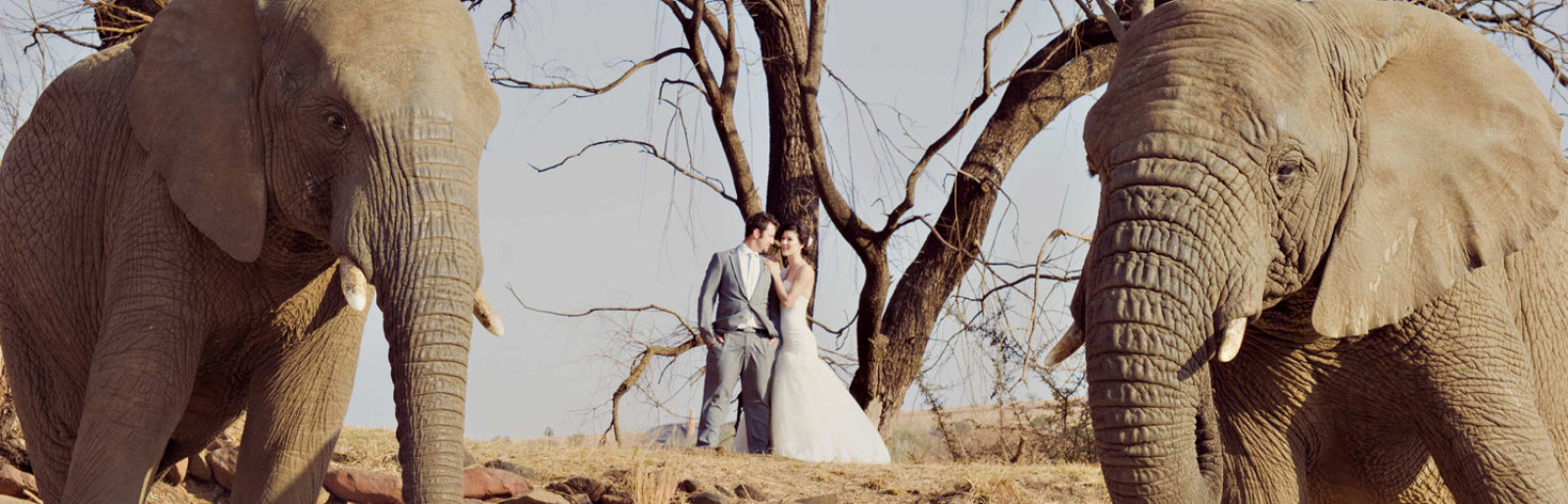 Askari Game Lodge & Spa winter wedding specials