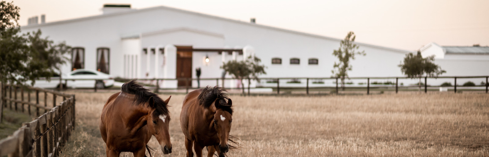 Soetendal All-Inclusive Wedding Special