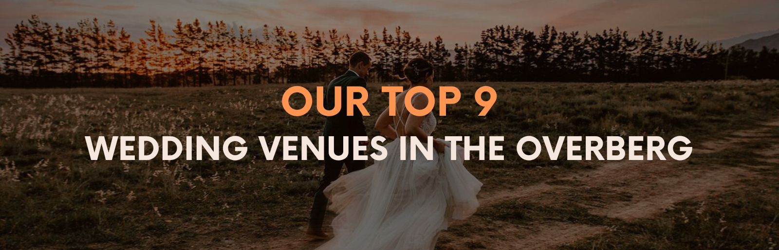 Top 9 Wedding Venues in the Overberg