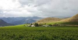 Best Wedding Venues in the Robertson Wine Valley