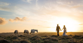 Eastern Cape Wedding Venues You’ll Fall in Love With