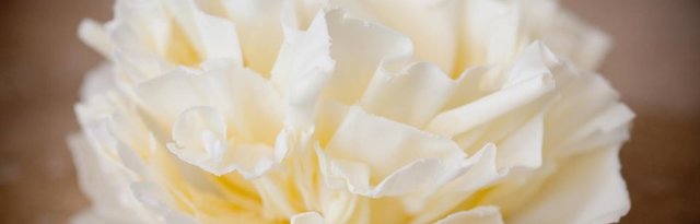 Kanya Hunt Wedding Cake Special