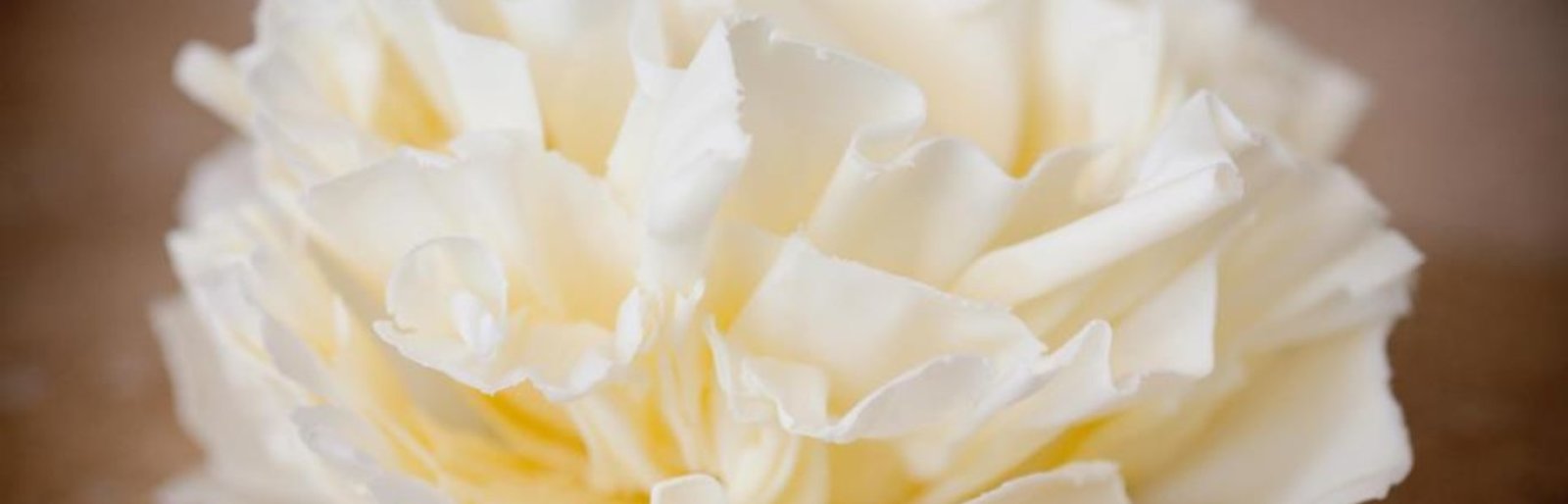 Kanya Hunt Wedding Cake Special