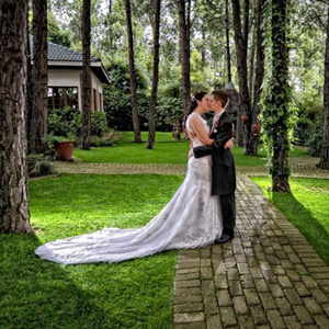 The Forest Walk Venue cover image