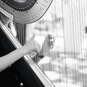 harpNOTED