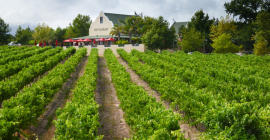 Skilpadvlei Wine Farm Skilpadvlei Wine Farm