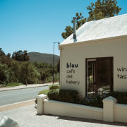 Bloupunt Winery