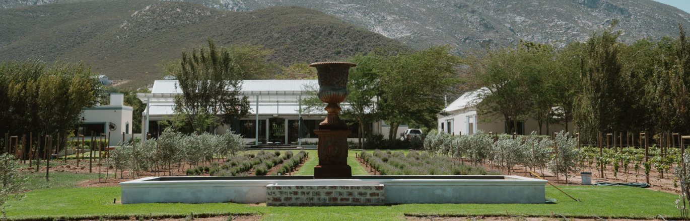 Bloupunt Winery