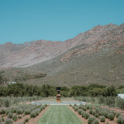 Bloupunt Winery