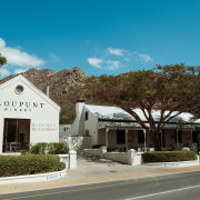 Bloupunt Winery