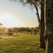 The Venue at Denny Stables