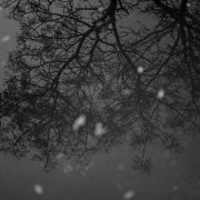 RDK Photography