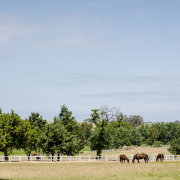 Avontuur Estate