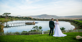 Cape Point Vineyards