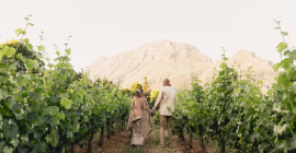 Le Pommier Wine Estate