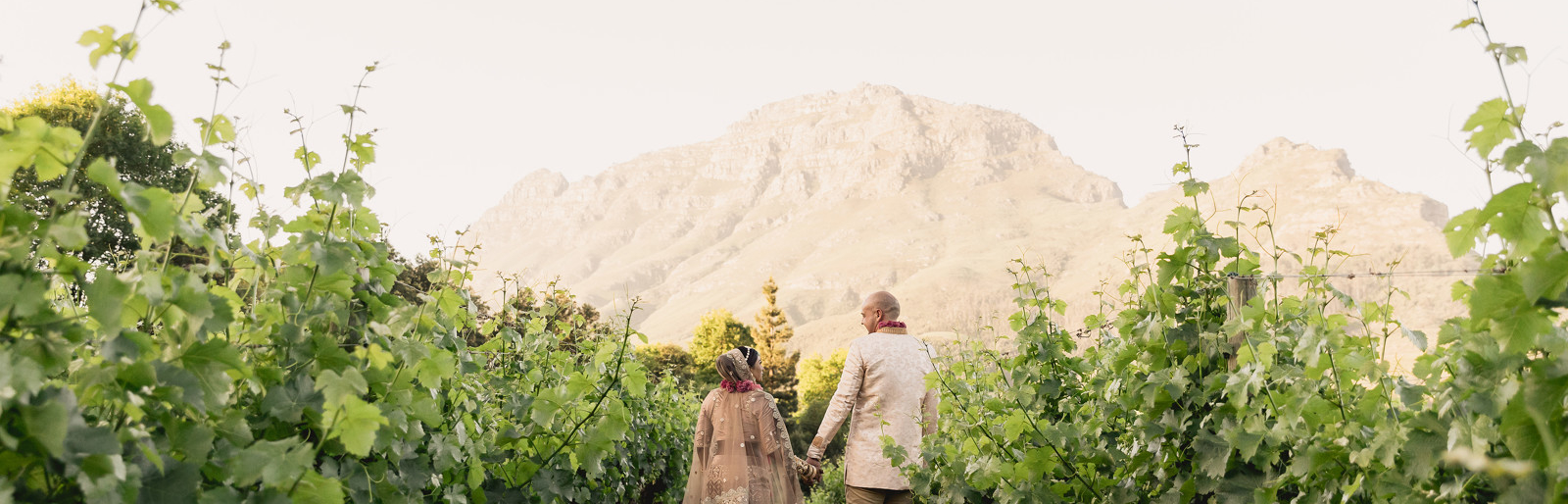 Le Pommier Wine Estate