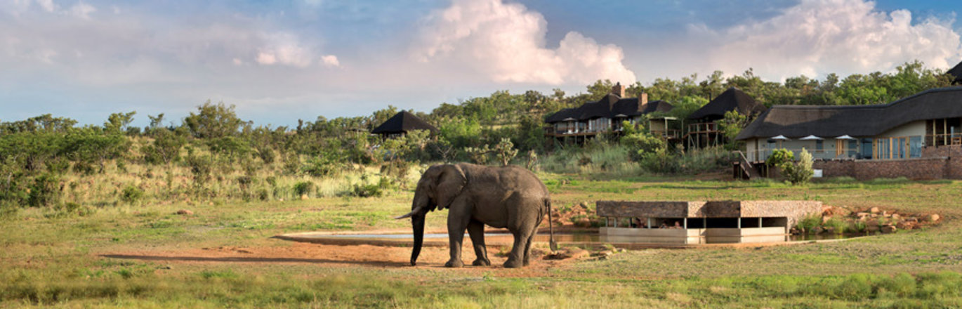 49+ Villa Safari Lodge PNG