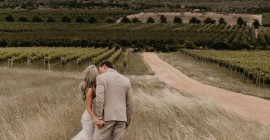 South Hill Vineyards South Hill Vineyards