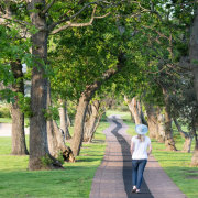 Steenberg Golf Estate