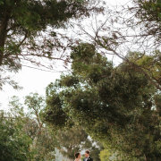 Wildekrans Wine Estate