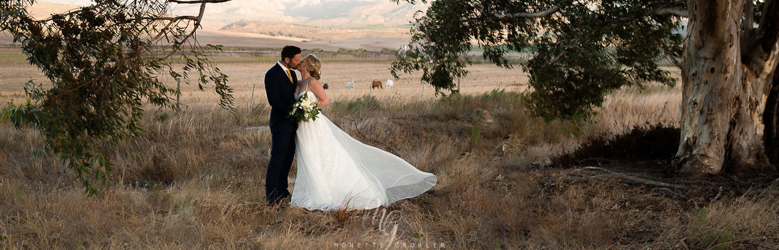 Wildekrans Wine Estate