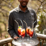 Welgevonden Game Reserve
