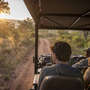 Welgevonden Game Reserve