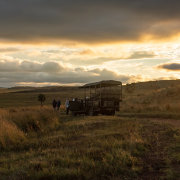 Welgevonden Game Reserve