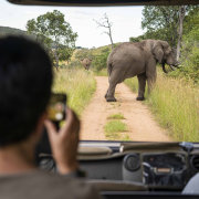 Welgevonden Game Reserve