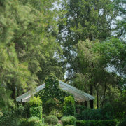 The Forum White Light