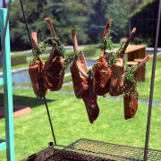 Concept Food