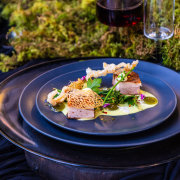 Concept Food