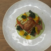 Concept Food