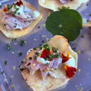 Concept Food