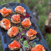 Concept Food
