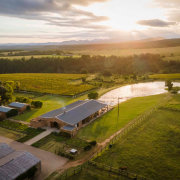 Kay & Monty Vineyards