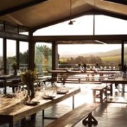 Kay & Monty Vineyards