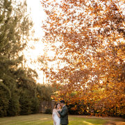 Snippets Photography and Design