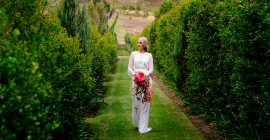 Wedding Venues In The Western Cape Sa Weddings