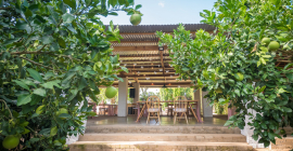 Francine's Venue & Farmhouse Francine's Venue & Farmhouse