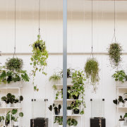 The Greenhouse Café