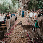 TyandEri Photo & Film