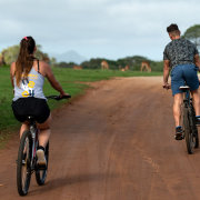 Intle Boutique Hotel