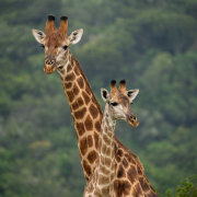 Intle Boutique Hotel