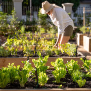 Pink Door Franschhoek