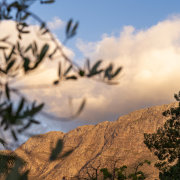 Pink Door Franschhoek