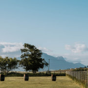 Wijnlanden Uitzicht Venue