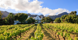 The Cellars-Hohenort The Cellars-Hohenort