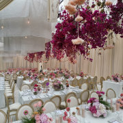Du Toit Events